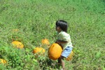 resIMG_20141004_130800_3389.JPG
